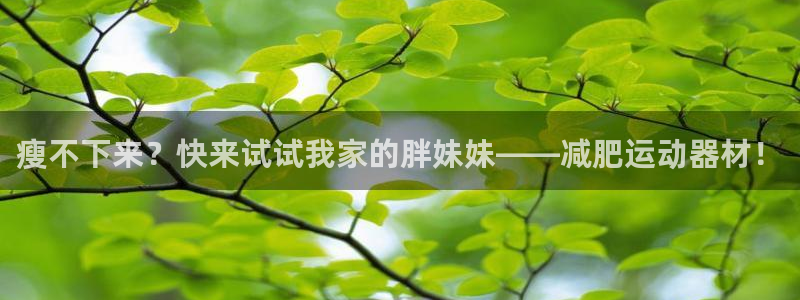 678体育官方正版app开户：瘦不下来？快来试试我家的胖妹妹