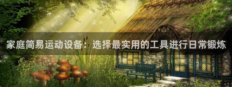 678体育官网下载是干嘛的公司：家庭简易运动设备：选择最实用