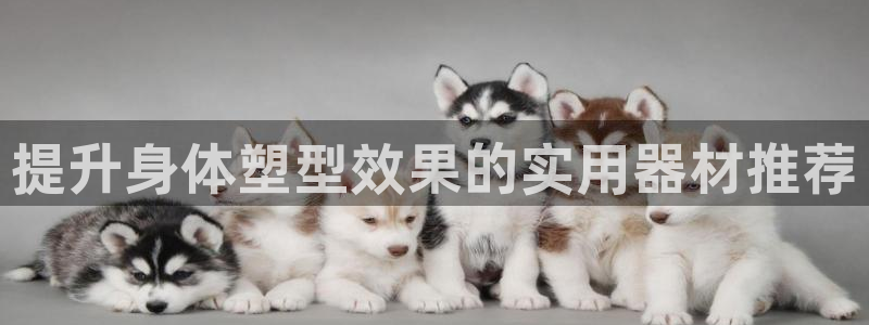 德国678体育官方正版app集团：提升身体塑型效果的实用器材