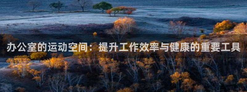 678体育官方正版app娱乐平台：办公室的运动空间：提升工作