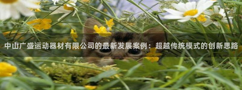 678体育官网下载注册：中山广盛运动器材有限公司的最