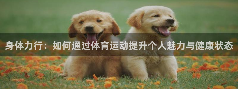 熊猫体育在线
