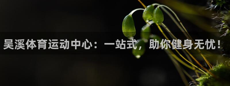 动感熊猫体育公园