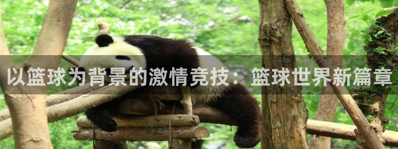 熊猫体育手机版