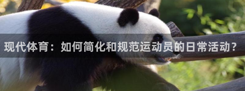 中山熊猫体育