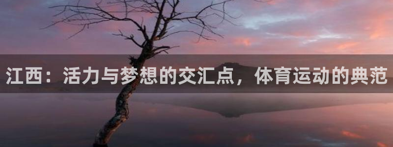 熊猫体育公园价格
