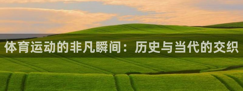 熊猫体育官方网站