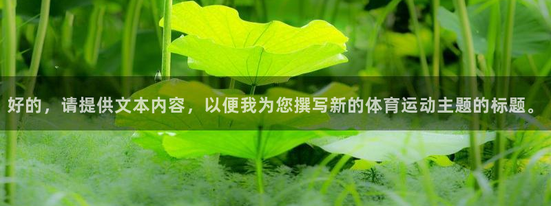 熊猫体育