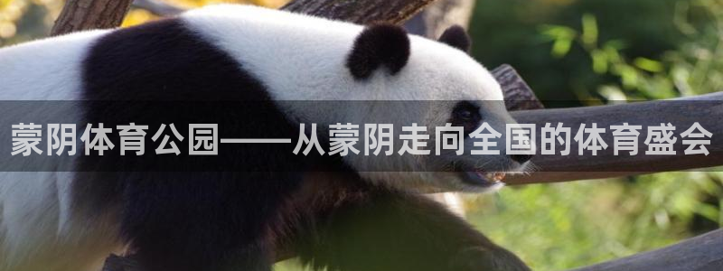 熊猫体育直播