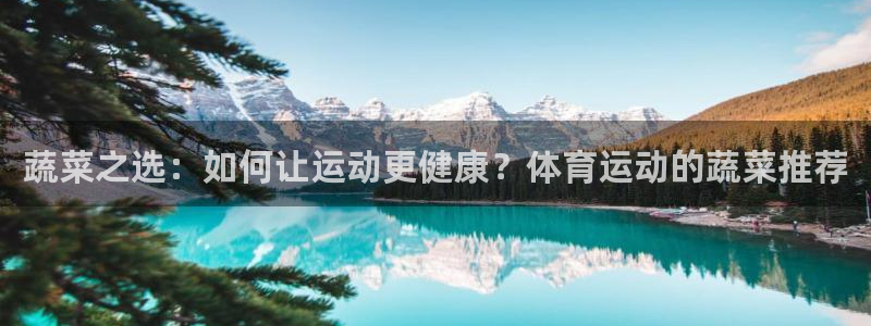 熊猫体育app官方下载最新版