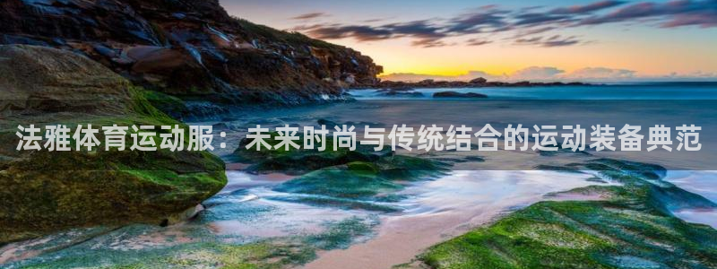 熊猫体育官网