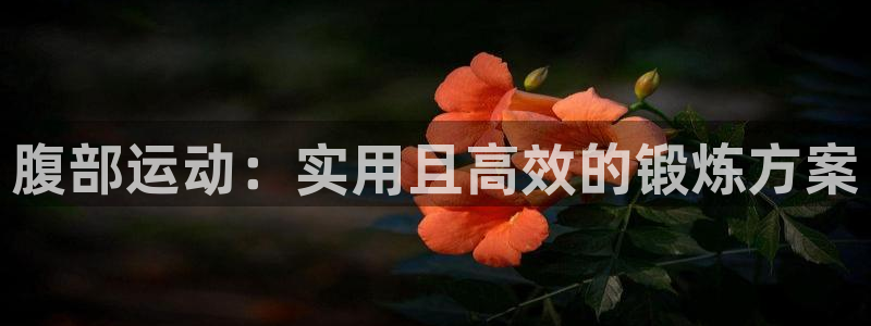 678体育官网下载娱乐：腹部运动：实用且高效的锻炼方