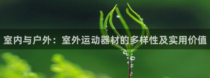 678体育官方正版app娱乐代理怎么样：室内与户外：室外运动